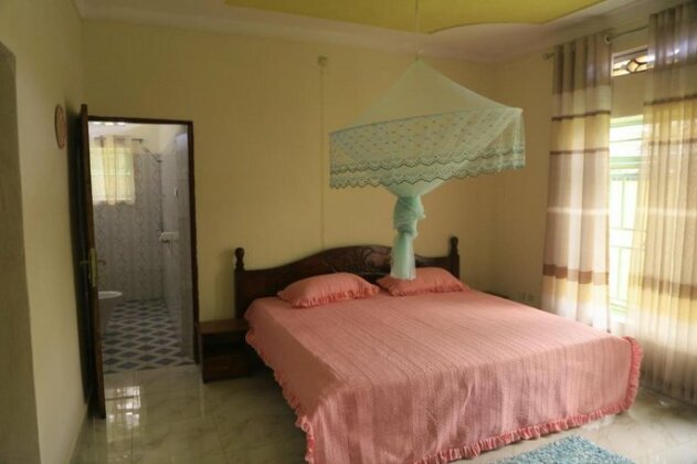 Orange Tree In Apartment - Photo5