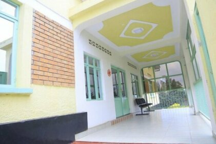 Orange Tree In Apartment