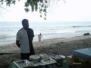 Dolphin View Beach