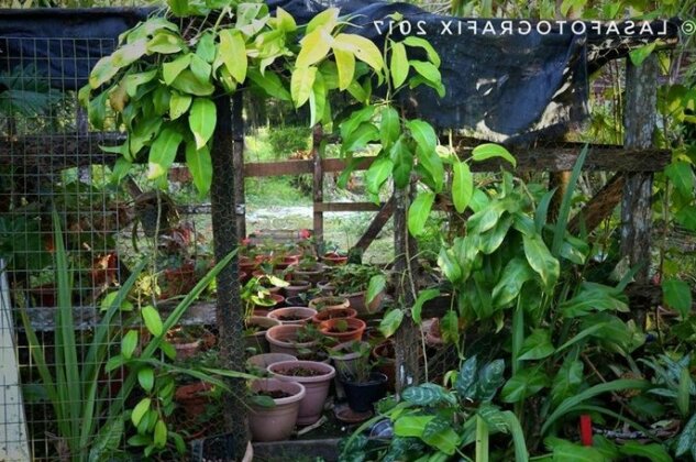 Ravihina Home Stay - Photo5