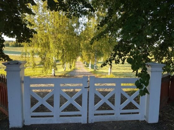 Hofra Bed & Breakfast - Photo4