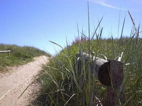 Skrea Camping & Cottages - Photo4
