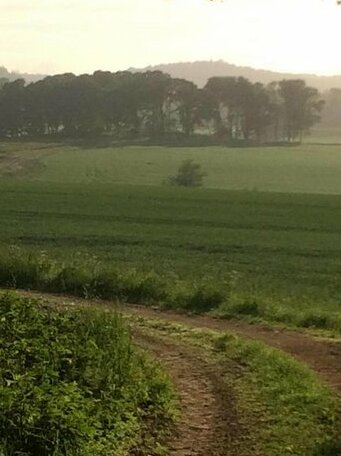 Swedish Idyll - Photo3