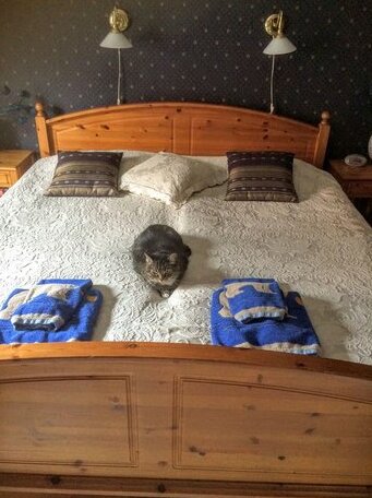 Eklanda Bed & Breakfast - Photo4