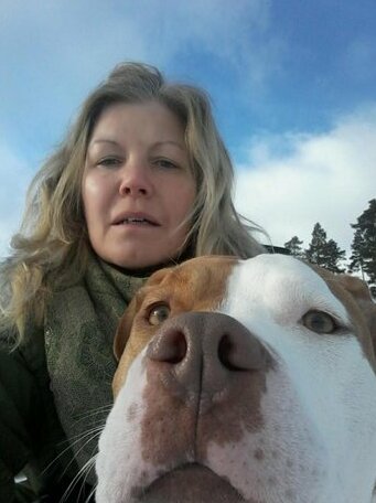 Skogsbrynet B&B - Photo2
