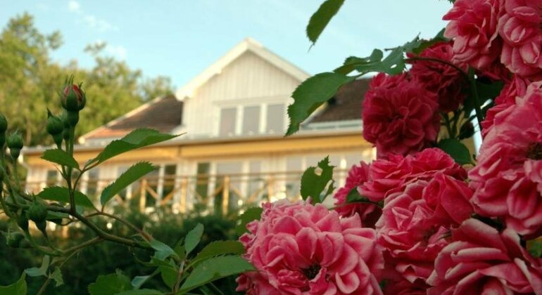 Slussens Pensionat - Photo2