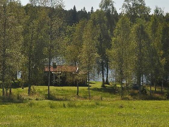 Hestra Hestra - Photo4
