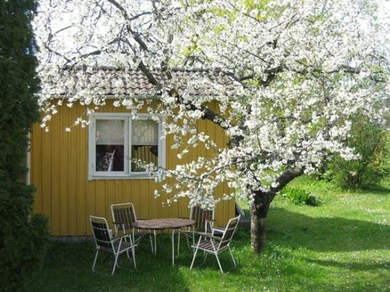 Hagaborg Bed & Breakfast - Photo5