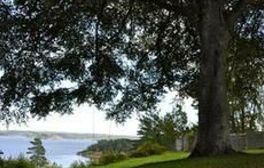Villa Sjotorp - Photo4