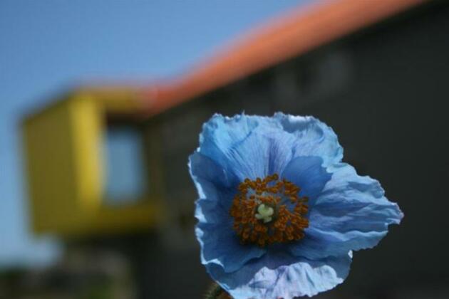 Ladfabriken - Photo4