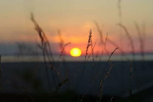 Motell Vida Vattern Odeshog - Photo4