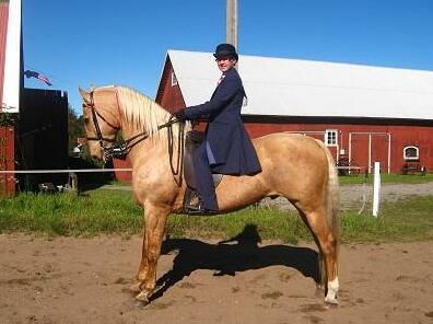 Horyda Gard - Photo5