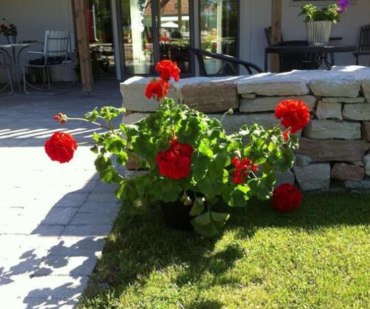 Ljungs Fem Rum - Photo5