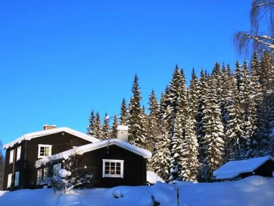 Forsgarden Fjallhotell - Photo2