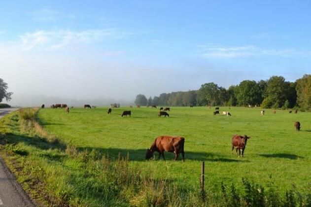 Sjobredareds Gard - Photo5