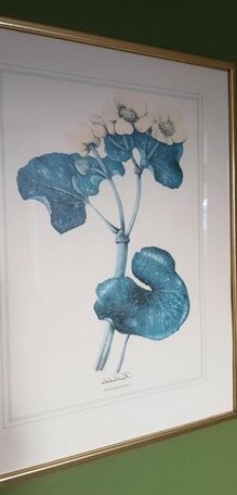 Pensionat Solgarden - Photo4