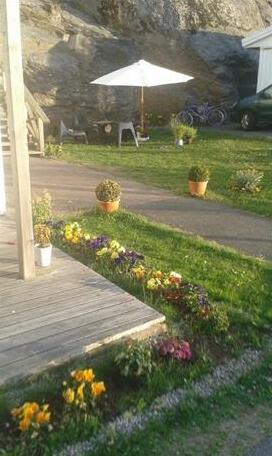  Photo 3