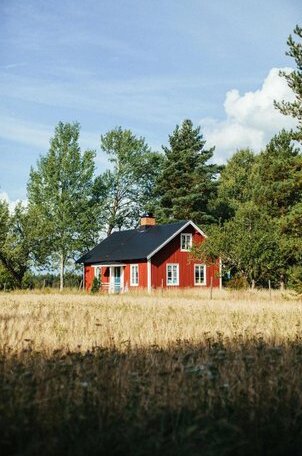 Stuga Vena - Photo3