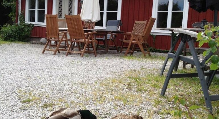 Mullbarsgardens Bed and Breakfast - Photo2