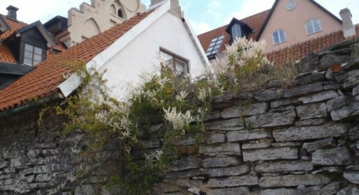 Visby Vandrarhem