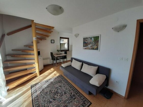 Viksi Bled Rooms & Apartments - Photo4