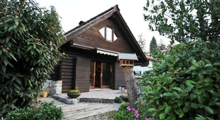 Vila Vita Bled - Photo3