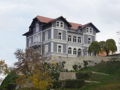 Villa Savinja