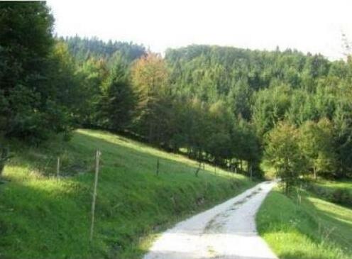 Gostilna Metka - Photo3