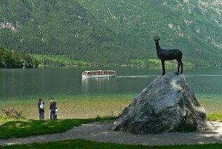 Private Apartments Bohinj - Photo4