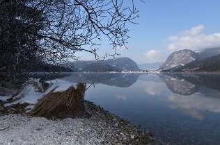 Private Apartments Bohinj - Photo5