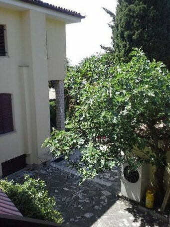 Apartments Bukovsek - Photo3