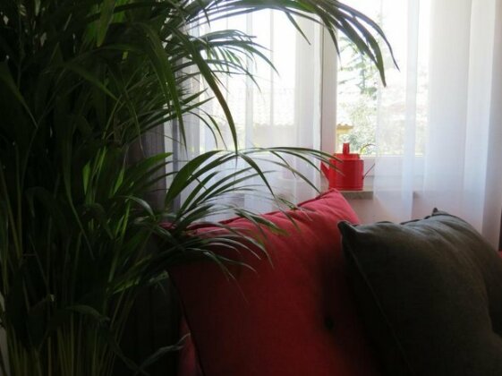 Casa Rossa Apartment - Photo5