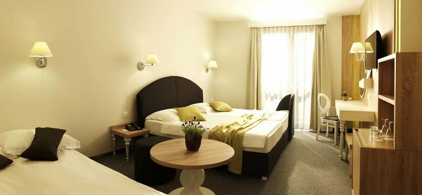 Socializing Hotel Mirna Terme & Wellness Lifeclass - Photo4