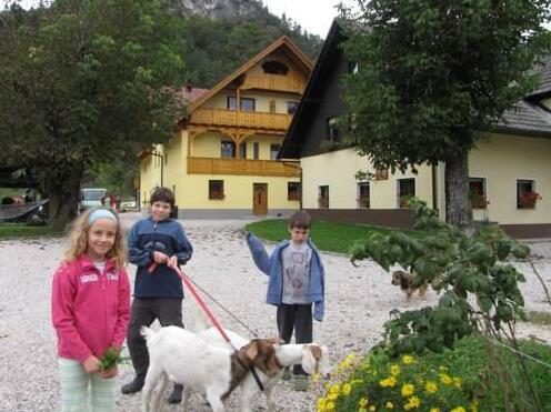 Farm Holidays Povsin - Photo3