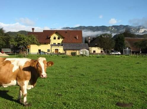 Farm Holidays Povsin - Photo5