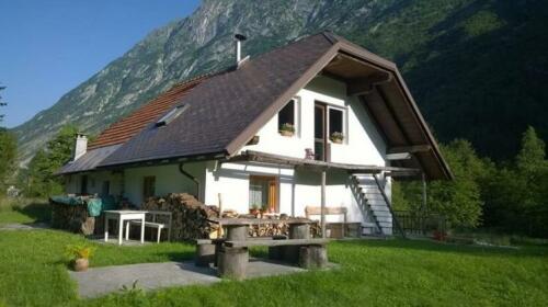 Bovec Home At Three Samoyeds