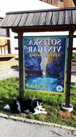 238 Spodnje Gorje - Photo2