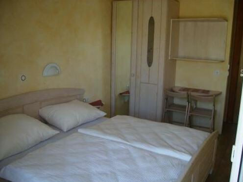 Slovenian Traditional Guest House - Photo4