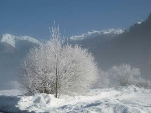 Alpine Paradise - Photo2