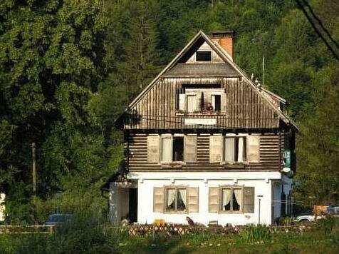 Pension Cerkovnik - Photo2