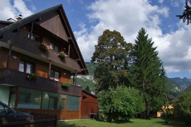 Pension Lipa Bohinj - Photo3