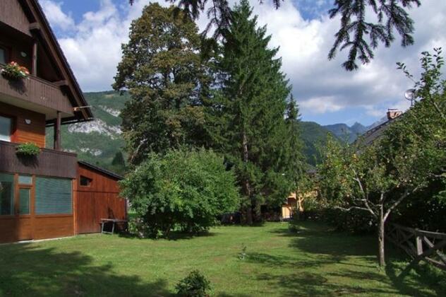 Pension Lipa Bohinj - Photo4