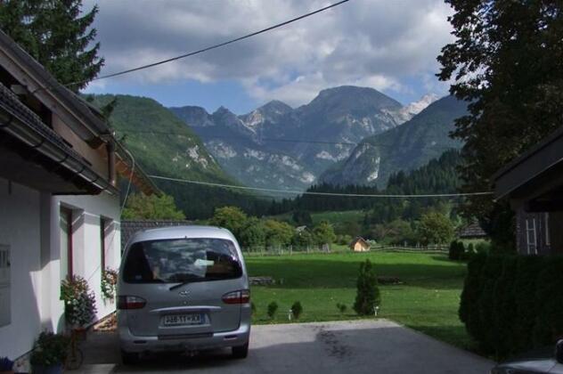 Pension Lipa Bohinj - Photo5