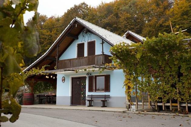 Vineyard Cottage Meglic - Photo2
