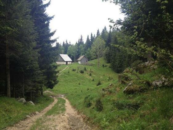 Chalet Bohinj - Photo5