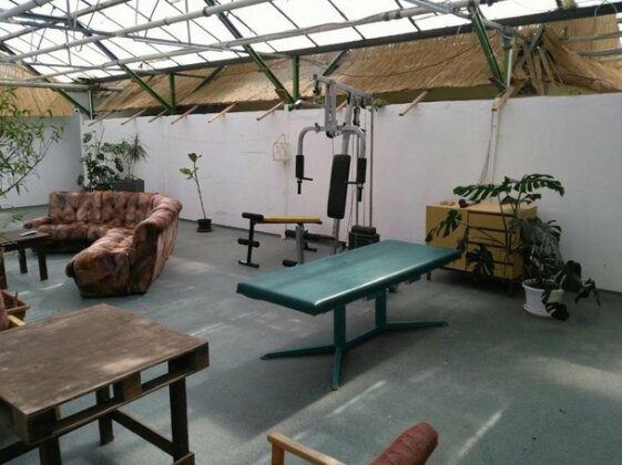 Rastlinky sk Greenhouse Guestrooms - Photo3