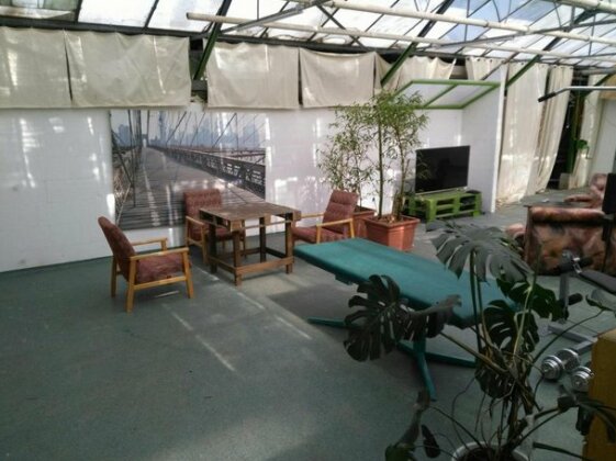 Rastlinky sk Greenhouse Guestrooms - Photo5