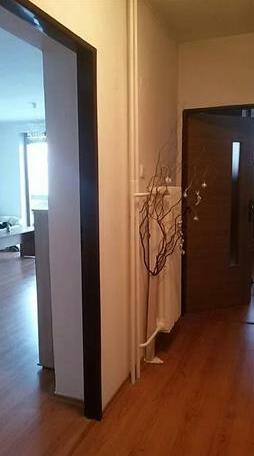 Holiday Home Demanova - Photo4