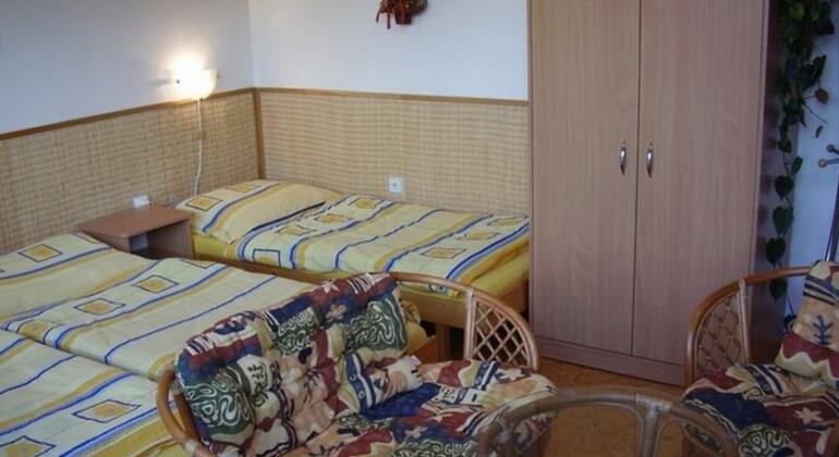 Privat Bubo - Photo4