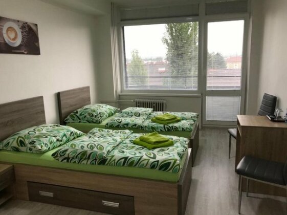 Rooms & Apartments Novohrad - Photo2